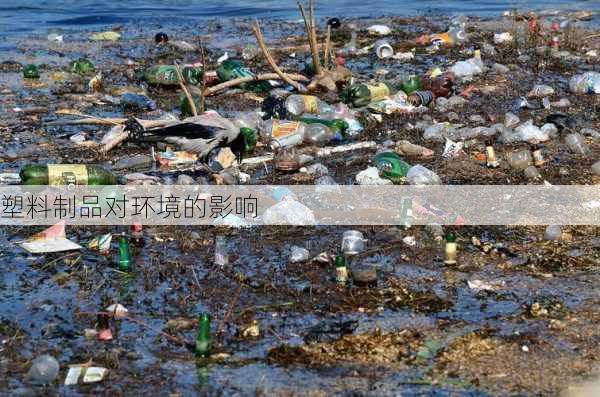 塑料制品对环境的影响