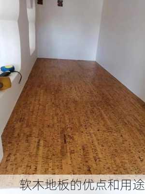 软木地板的优点和用途